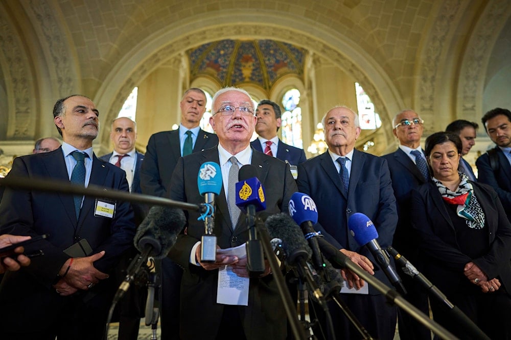 Palestinian foreign policy advisor Riad Malki speaks to media at the International Court of Justice, or World Court, in The Hague, Netherlands, July 19, 2024 (AP)