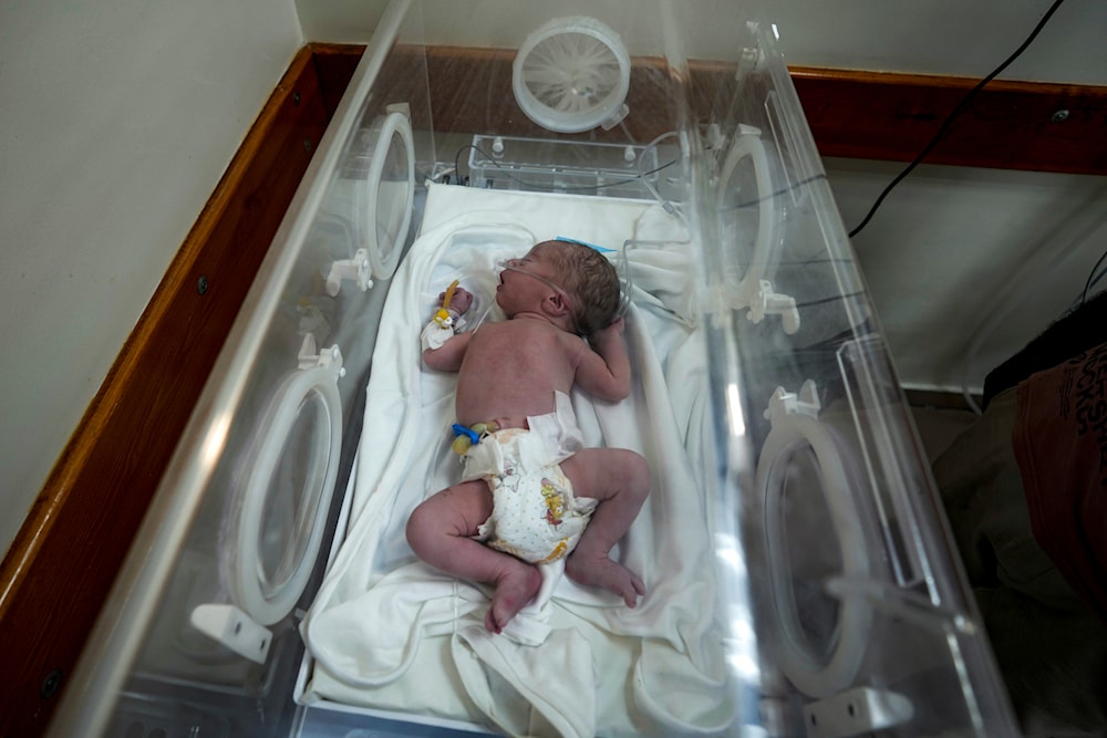 A Palestinian baby boy who was delivered prematurely after his mother Ola al-Kurd was killed in an Israeli strike, lies in an incubator at a hospital in Deir al-Balah, Friday, July 19, 2024. (AP)