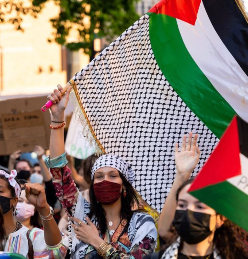 Bella Hadid during a pro-Palestine rally in New York, USA in September 2024.Social media image)