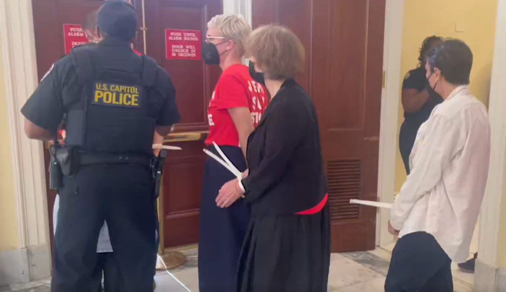 Protesters ziptied, escorted out of Capitol ahead of Netanyahu speech