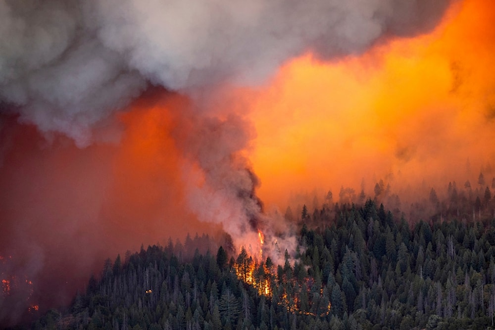 Embers spark a spot fire as the Park Fire burns below Highway 32 near Lomo in Butte County, Calif., Friday, July 26, 2024. (AP)