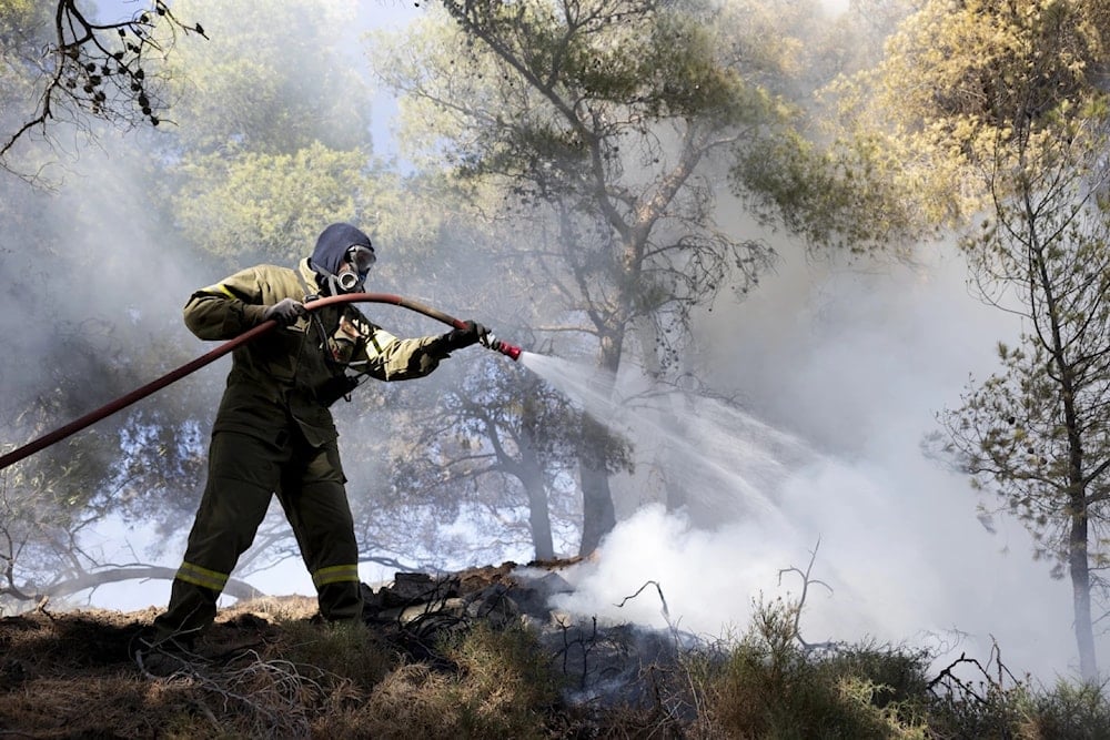 Firefighter struggles to extinguish a forest fire in the Keratea area, southeast of Athens, Greece, June 30, 2024. (AP)