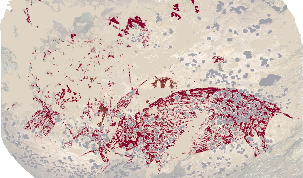 This handout image released by Griffith University shows a 51,000-year-old artwork first spotted in a cave on Indonesia’s Sulawesi island, July 3, 2024. (AFP)