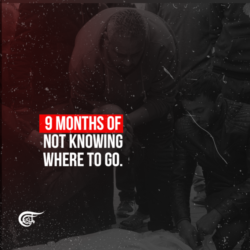 9 months of Israeli genocide in Gaza