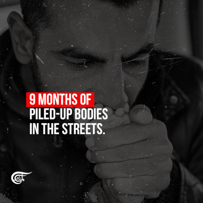 9 months of Israeli genocide in Gaza