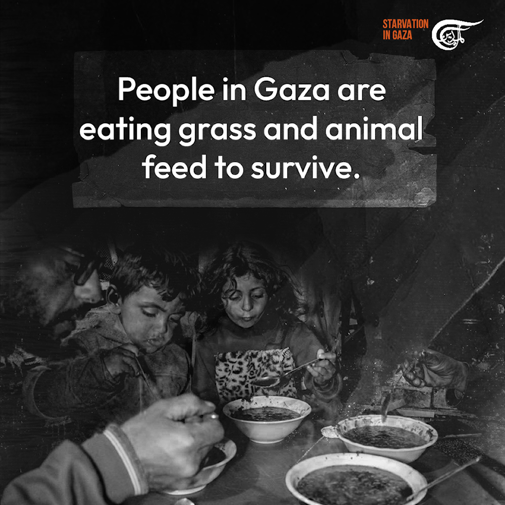 Heartbreaking scenes speak volumes about starvation-hit Gaza