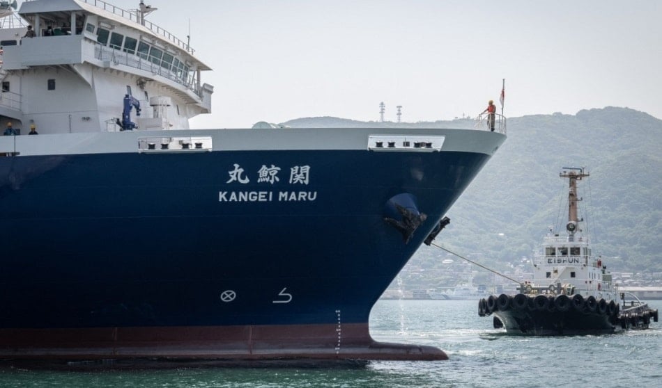 Japan's new whaling mothership, the Kangei Maru, leaves port following the ship's launch ceremony in Shimonoseki city, Yamaguchi prefecture on May 21, 2024. (AFP)