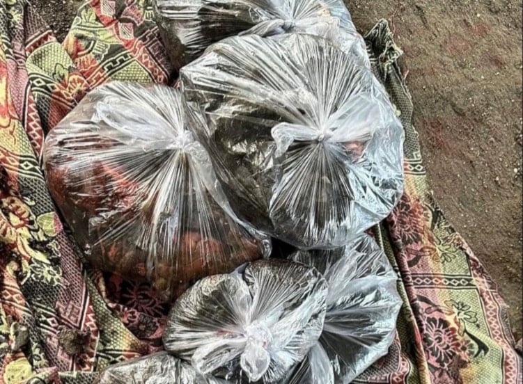 Loved ones weighed as 70 Kilos of shredded pieces per bag: Gaza