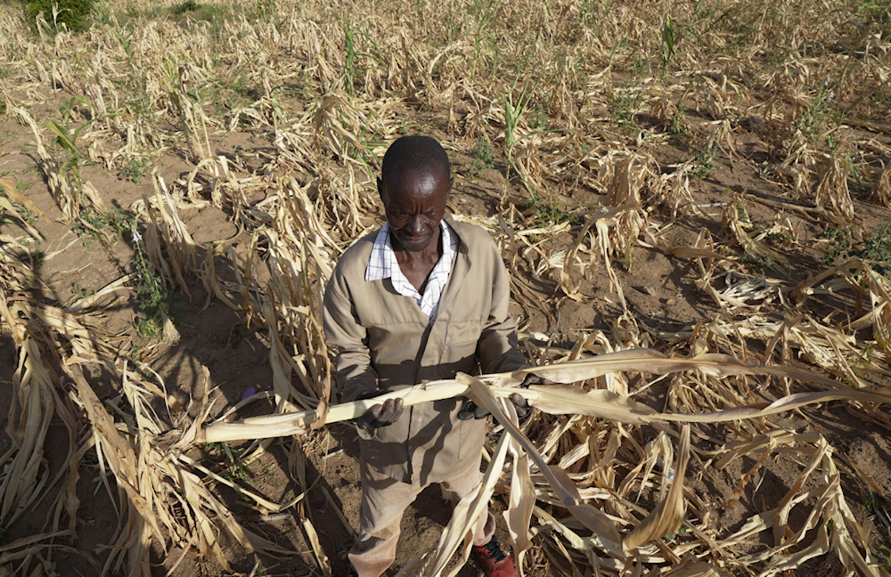 Southern African drought affecting close to 68 million: SADC