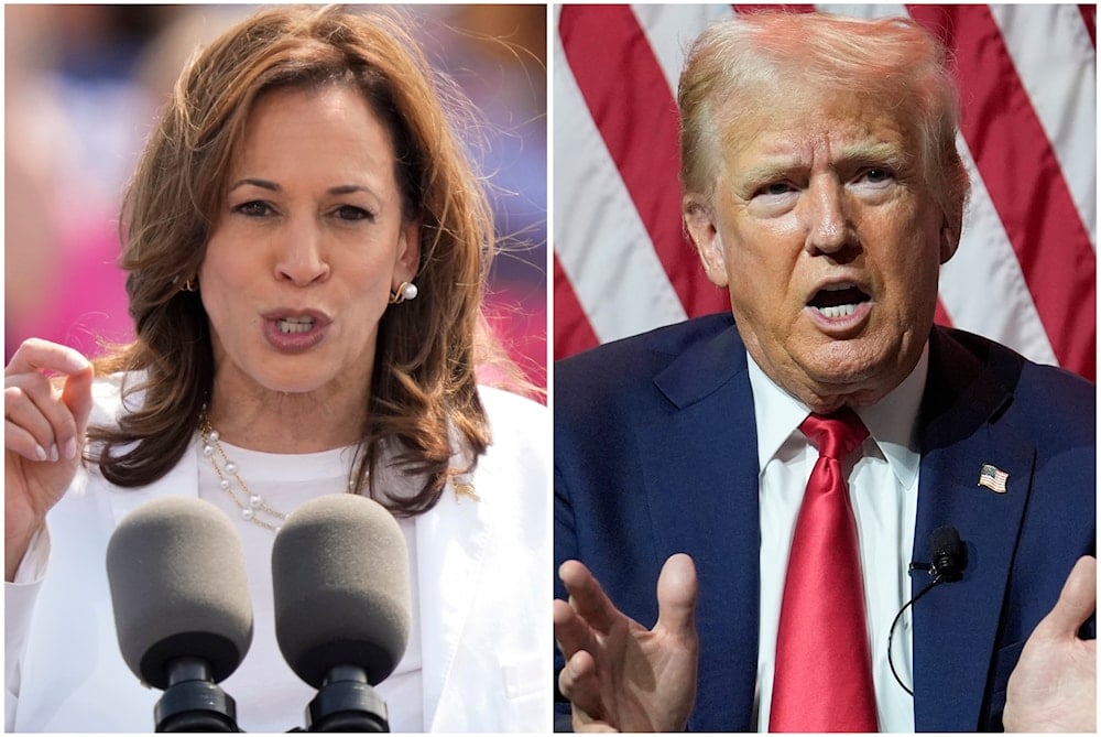 Vice President Kamala Harris, left, on Aug. 7, 2024 and Republican presidential candidate former President Donald Trump on July 31, 2024. (AP)