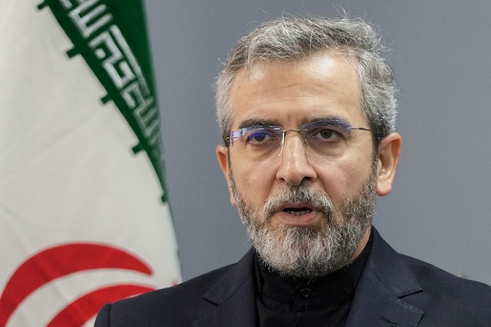 'Israel'  has no capacity nor strength to face Iran: Acting FM