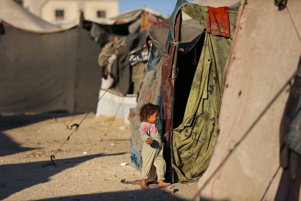 A Palestinian child living in a tent after being forcibly displaced from her home amid the Israeli genocide, September 8, 2024. (@UNRWA/ X)