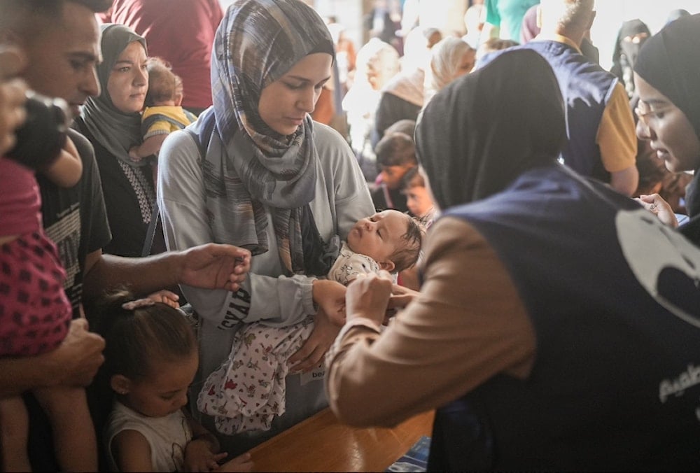 An infant in Gaza receives much-needed polio vaccines on September 1, 2024. ( @DrTedros/ X)