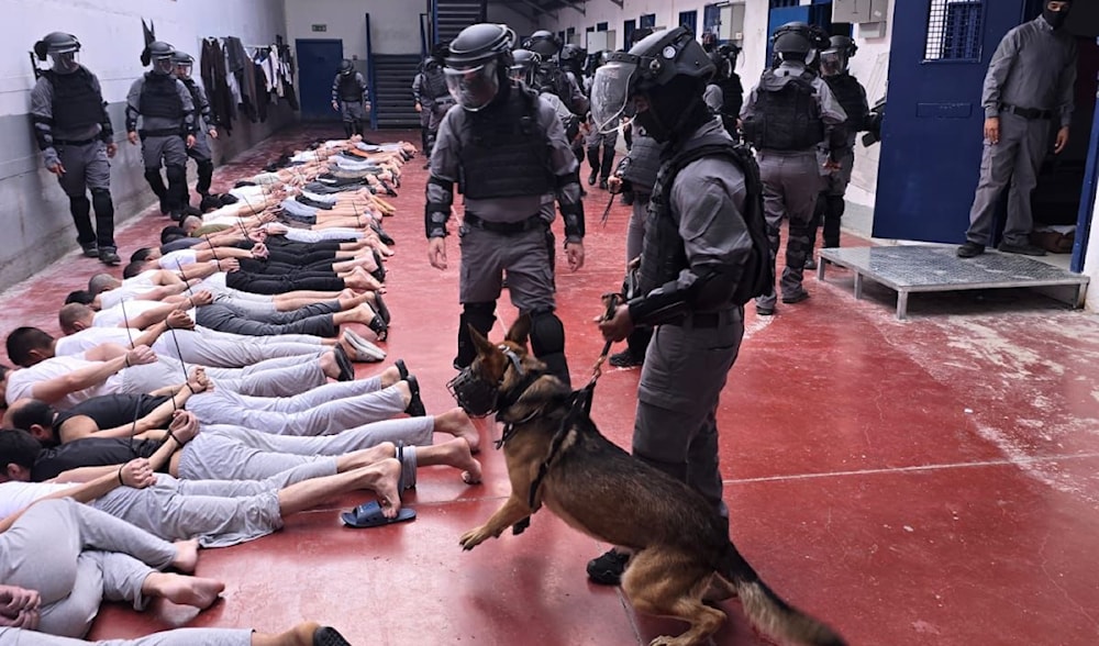 Footage from the Israeli occupation's Megiddo prison showing Israeli occupation forces intimidating and torturing Palestinian detainees using sniffer dogs as they lie face down on September 6, 2024. (Social media)