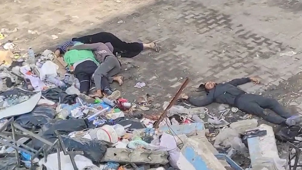 Gaza family massacre: Evidence disputes Israeli crossfire claims