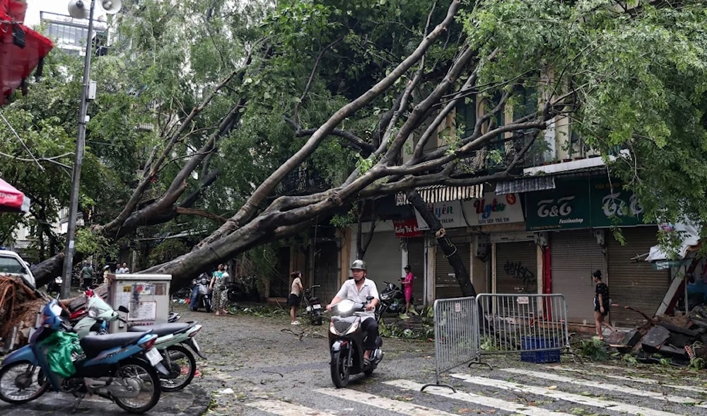 A man rides his motorbike past fallen trees on a street after Super Typhoon Yagi hit Hanoi, Vietnam, on September 8, 2024. (AFP)