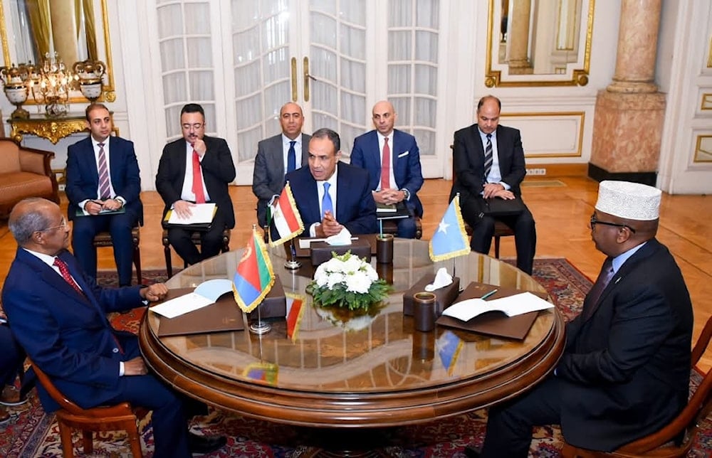 The Egyptian Foreign Minister alongside his Somali and Eritrean counterparts. (Foreign Ministry of Egypt)