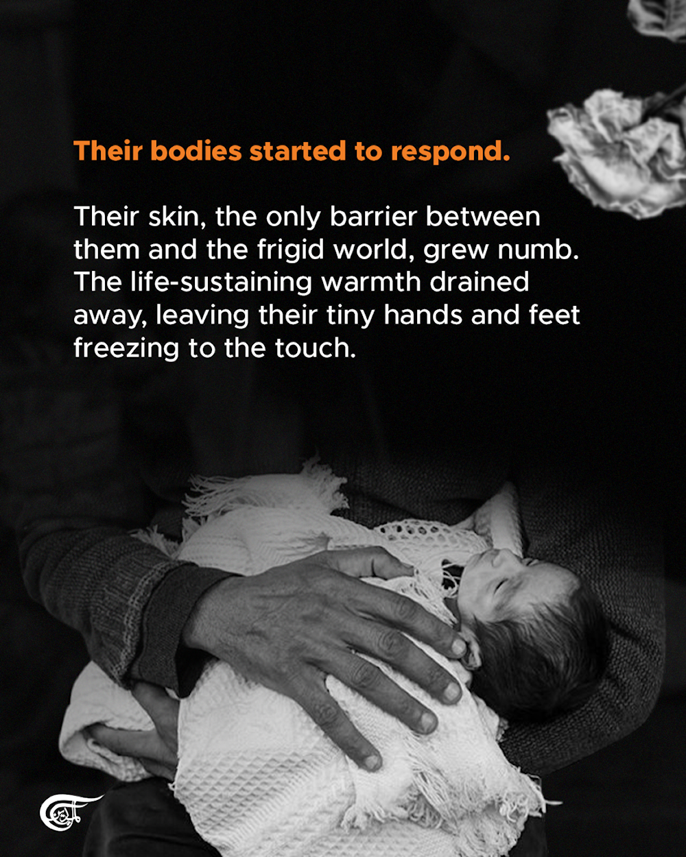 What the bodies of Gaza's children endured before they died from cold