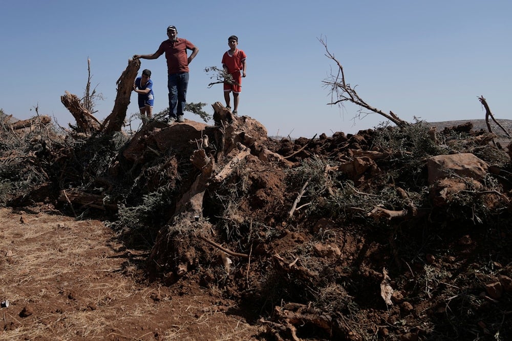 Settler violence intensifies during olive harvest in W. Bank: Reuters