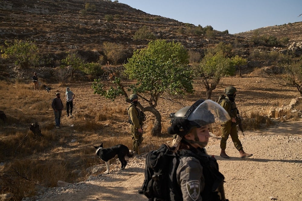 Israeli settlers stand near members of Israeli forces blocking access for Palestinians to an area for harvesting olives in the West Bank village of Sair, near al-Khalil, Thursday, October 23, 2025 (AP)
