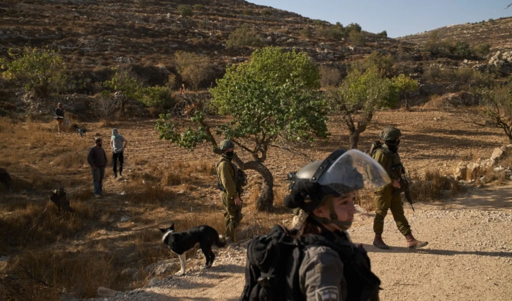 Israeli settlers stand near members of Israeli forces blocking access for Palestinians to an area for harvesting olives in the West Bank village of Sair, near al-Khalil, Thursday, October 23, 2025 (AP) Israeli settlers stand near members of Israeli forces blocking access for Palestinians to an area for harvesting olives in the West Bank village of Sair, near al-Khalil, Thursday, October 23, 2025 (AP)