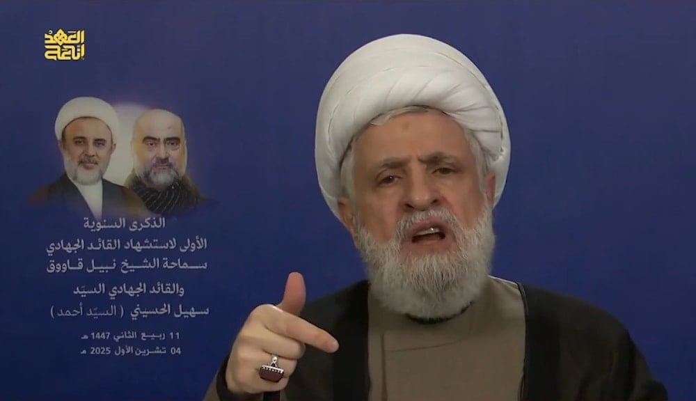 Palestinian Resistance decides what it sees fit: Sheikh Qassem