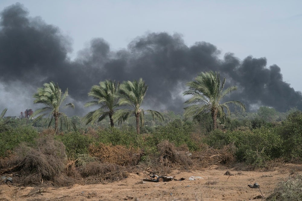 Israeli bombing leaves Gaza’s farmland in ashes, UN warns of famine