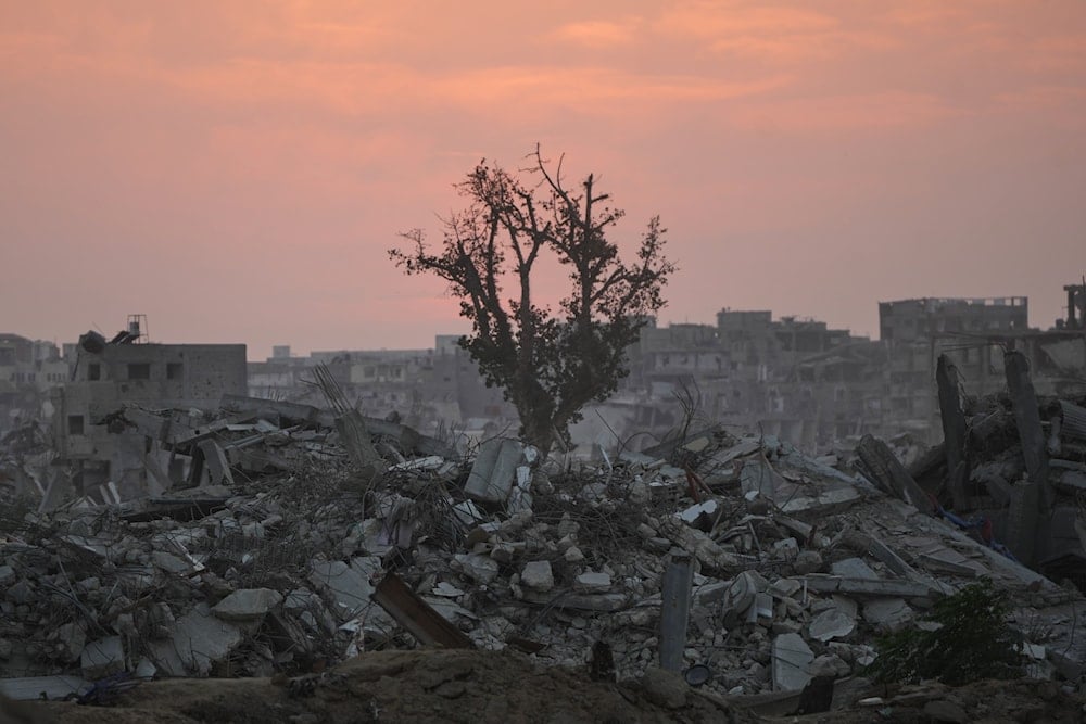A tree stands amid the ruins of destroyed buildings in Khan Younis, in the Gaza Strip, Saturday, Nov. 8, 2025 (AP)