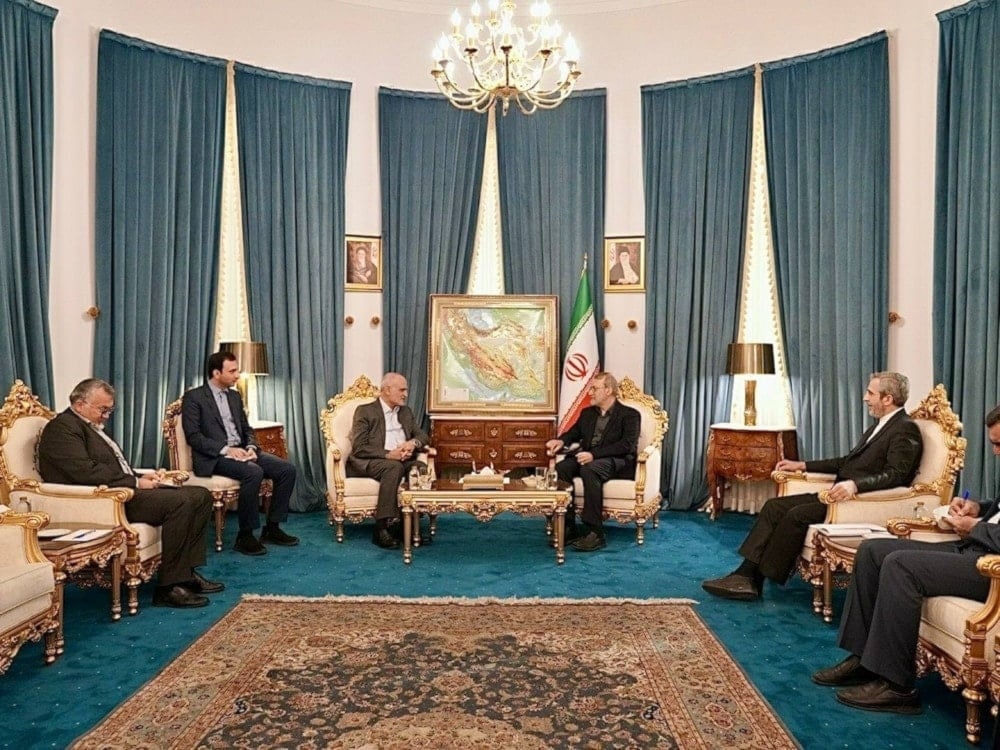 Iranian Supreme National Security Council Ali Larijani speaks with Lebanese MP and aide to Parliamentary Speaker Nabih Berri Ali Hassan Khalil in Tehran, Iran, November 15, 2025 (social media)