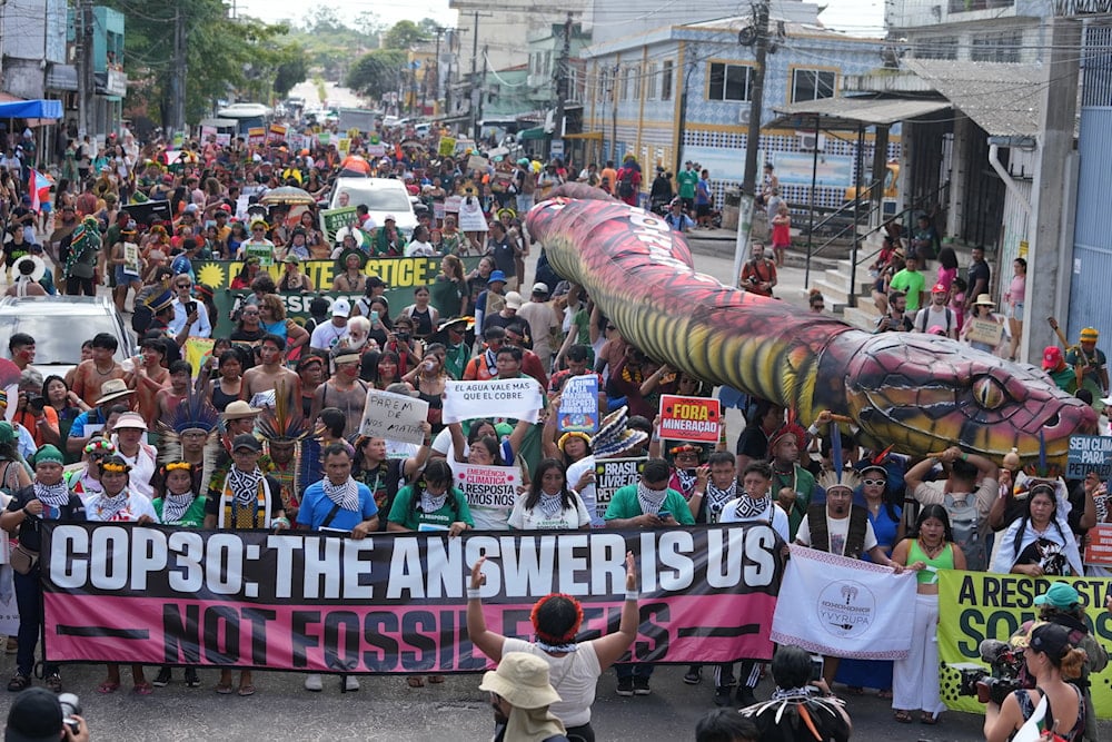 More than 300 big agriculture lobbyists took part in COP30