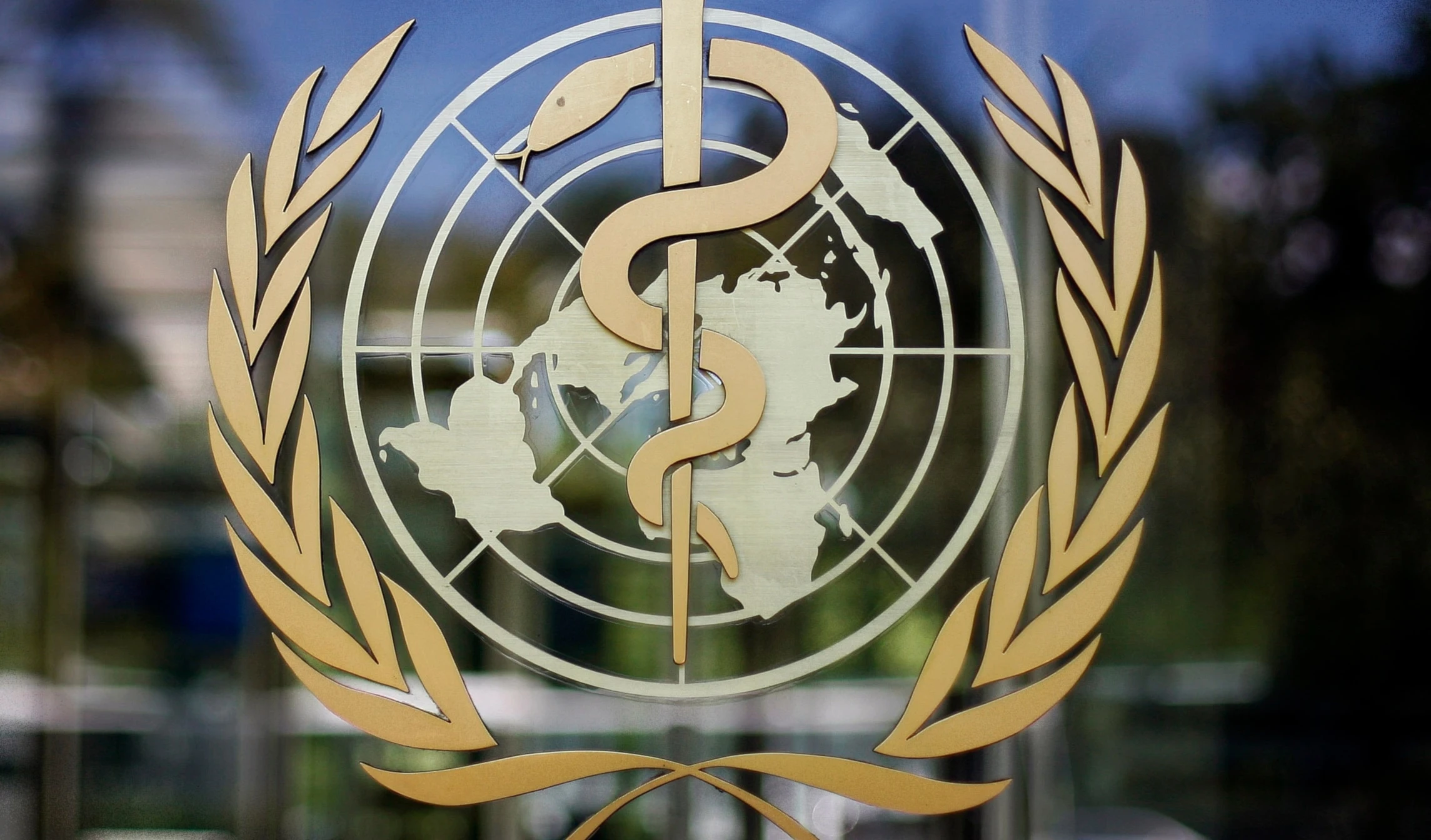 WHO to cut 22% of staff by 2026 after US exit triggers funding crisis