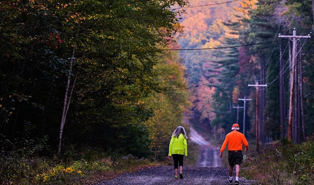 Trump approval rating, economy