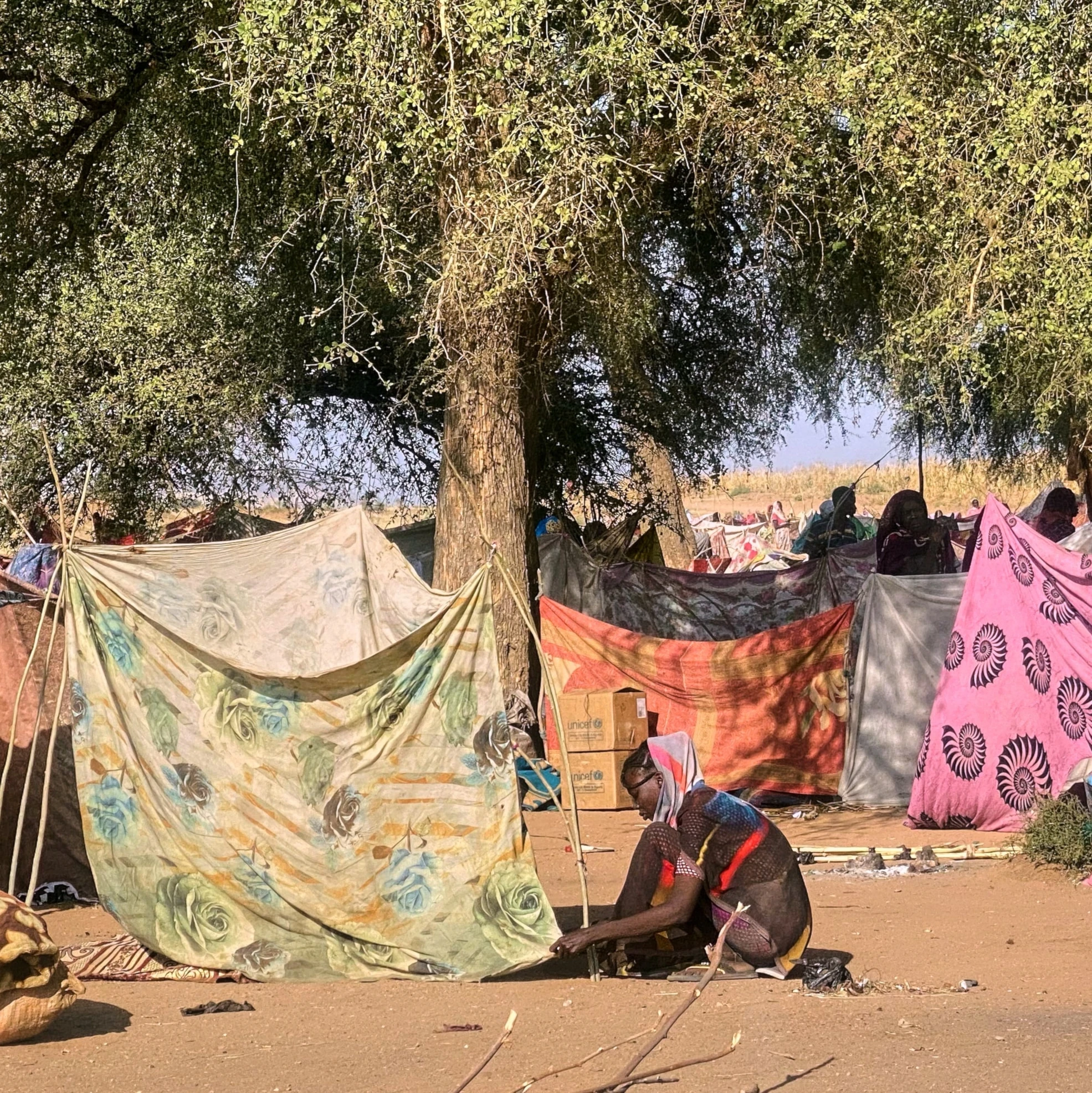 Sudan's Tawila Camp faces malnutrition crisis as displacement surges