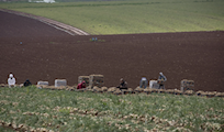 "Israel" seizes 1,042 dunams in Tubas, Palestinian Jordan Valley