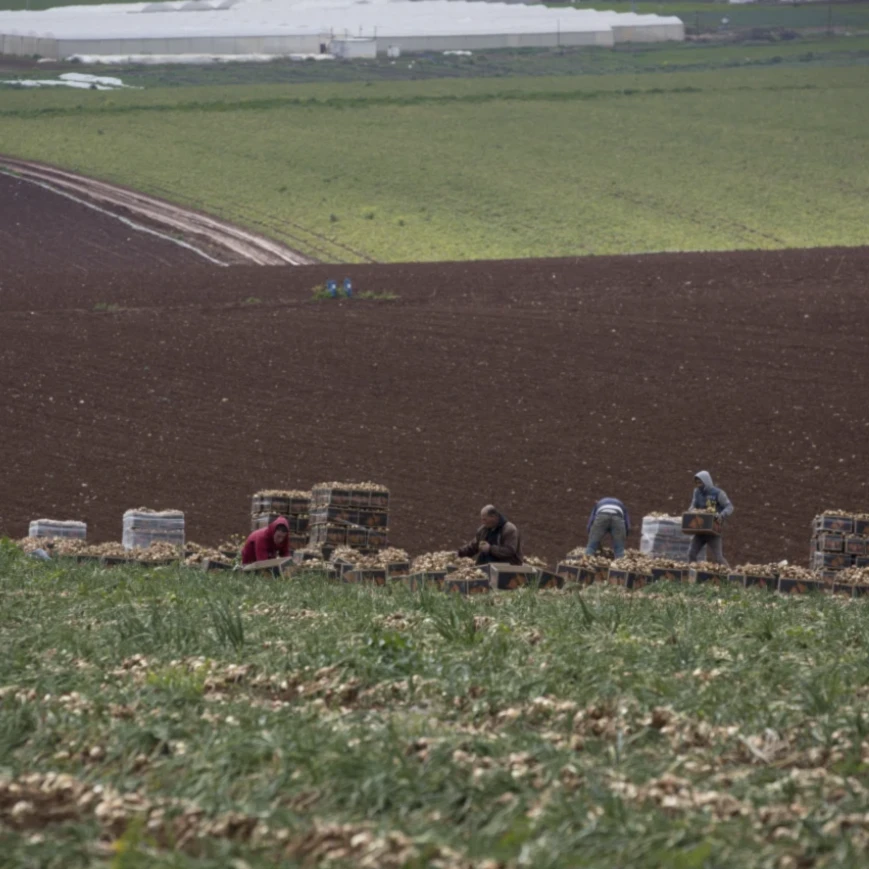 "Israel" seizes 1,042 dunams in Tubas for strategic road