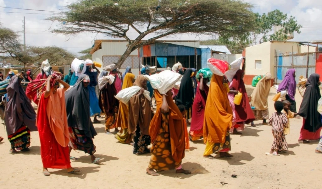 Somalis, who fled amid drought, carry their belongings as they arrive at a makeshift camp on the outskirts of the capital Mogadishu, Somalia, Tuesday, September 26, 2023. (AP Photo/Farah Abdi Warsameh)