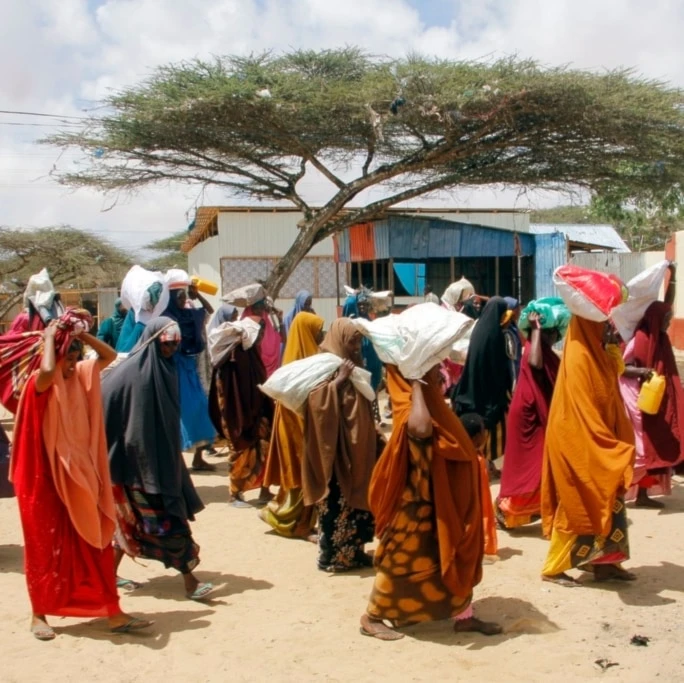 Somalis, who fled amid drought, carry their belongings as they arrive at a makeshift camp on the outskirts of the capital Mogadishu, Somalia, Tuesday, September 26, 2023. (AP Photo/Farah Abdi Warsameh)