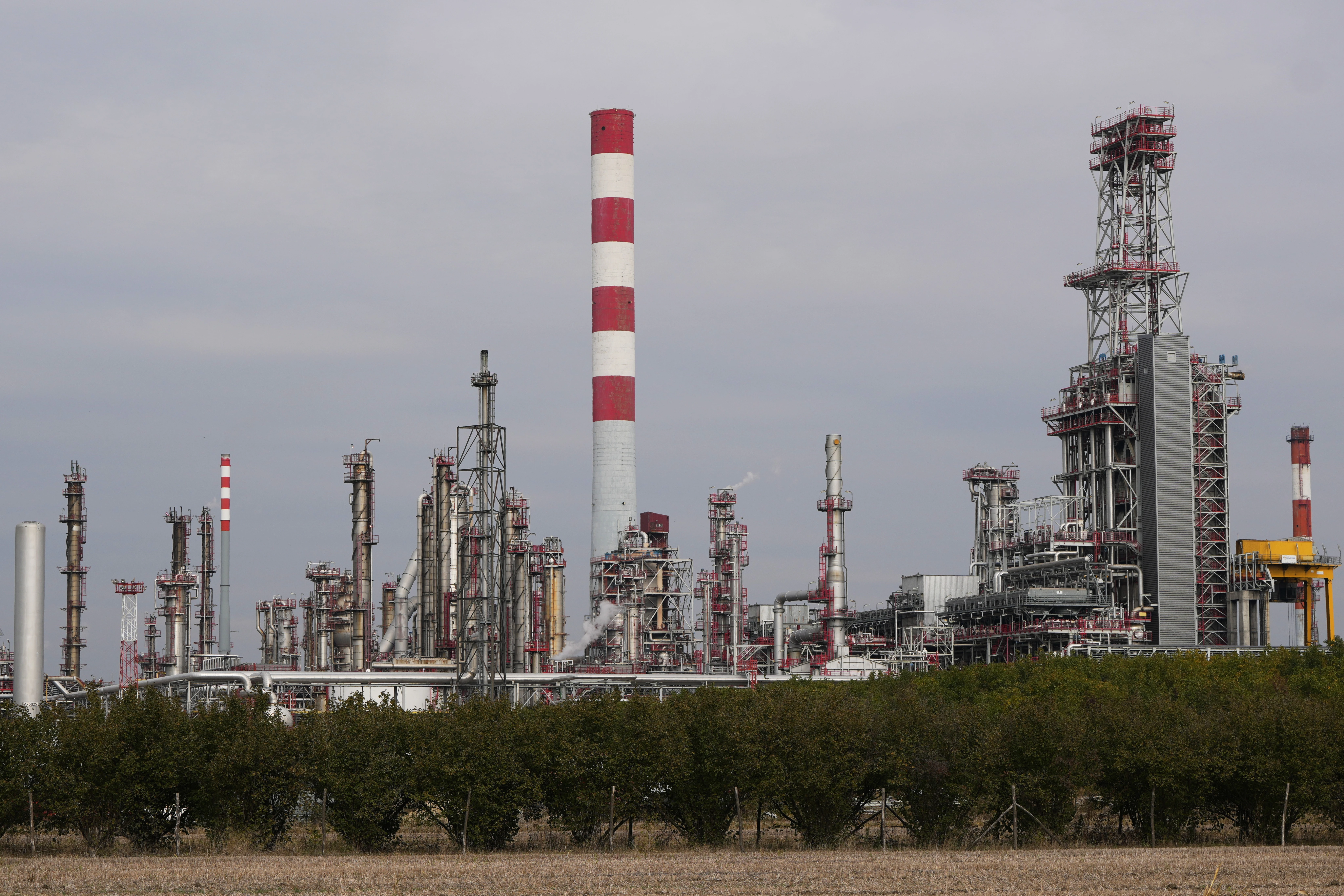 OPEC+ to maintain oil output levels as global supply surplus looms