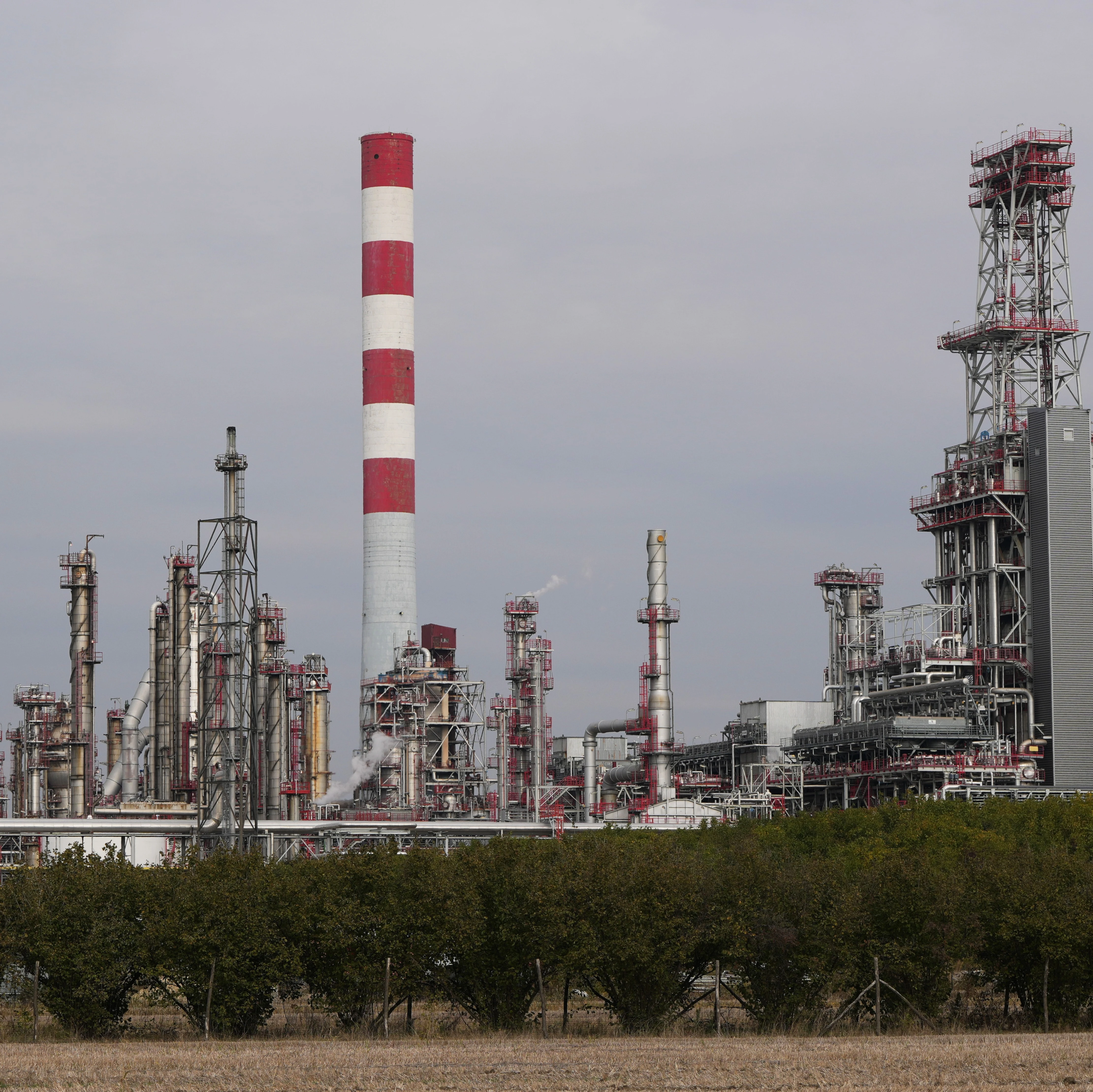 OPEC+ to maintain oil output levels as global supply surplus looms