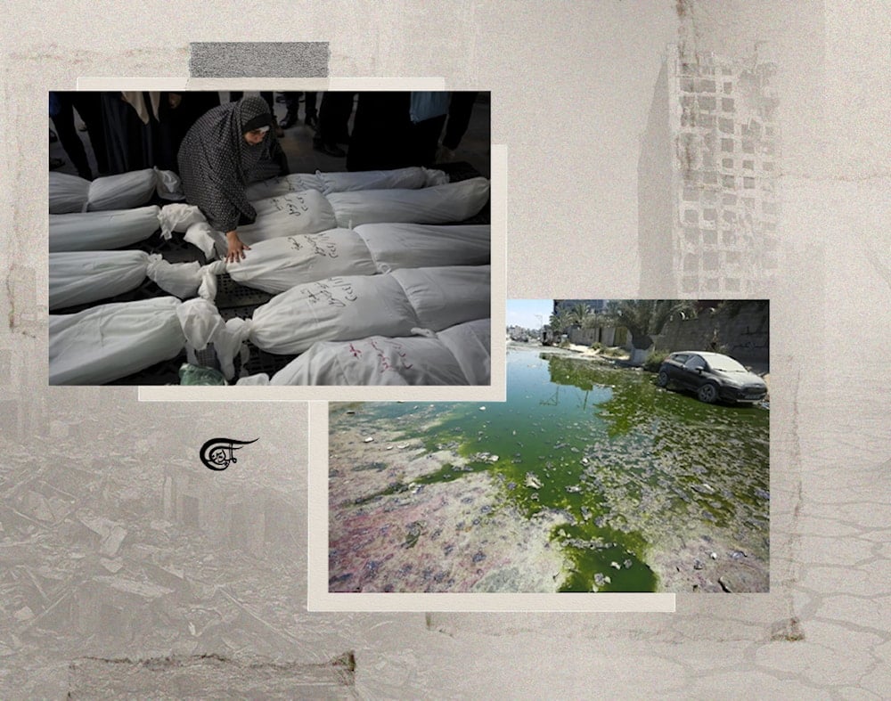 Ecocide and Zionist greenwashing