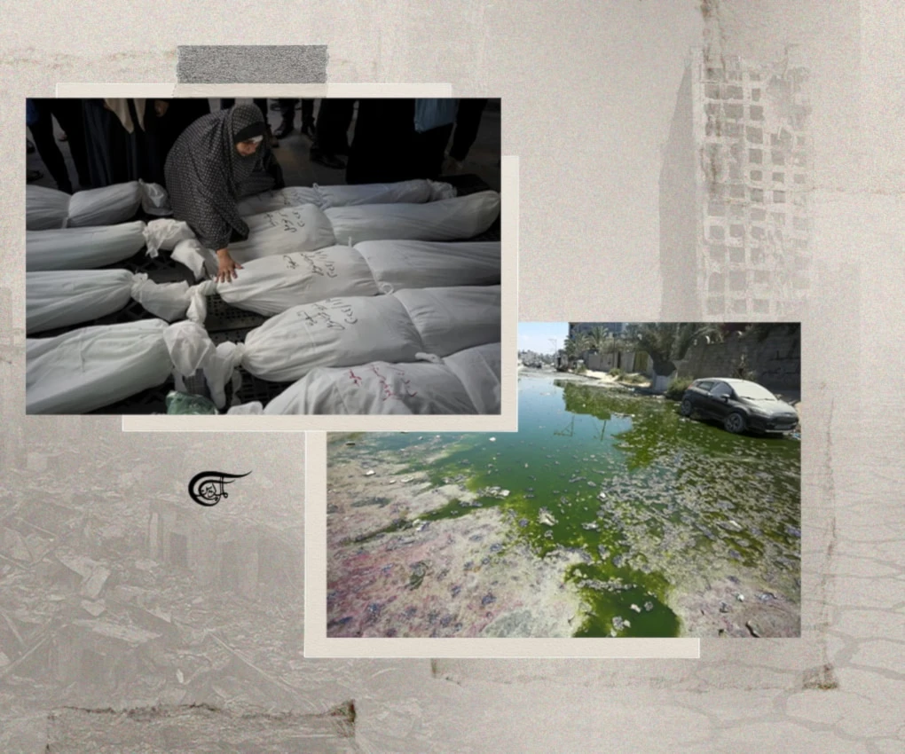 Ecocide and Zionist greenwashing