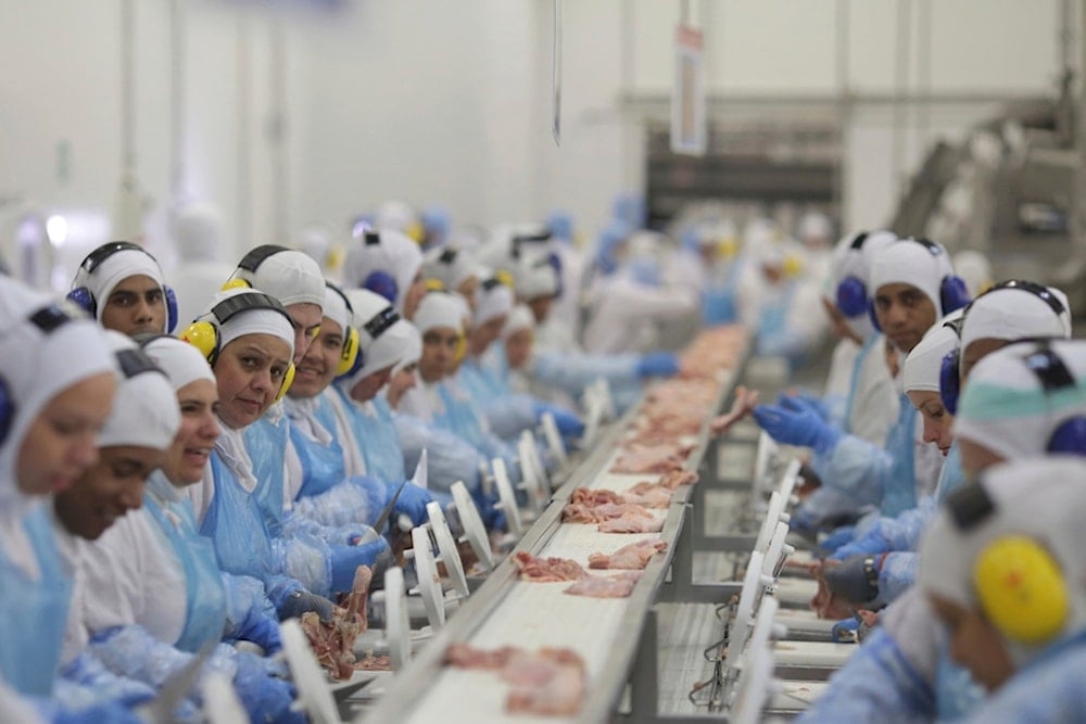 China resumes Brazilian chicken imports after bird flu ban lifted