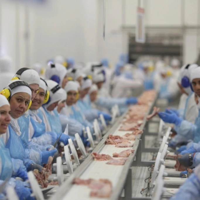 FILE - Workers prep poultry at the meatpacking company JBS, in Lapa, in the Brazilian state of Parana, March 21, 2017. (AP Photo/Eraldo Peres, File)