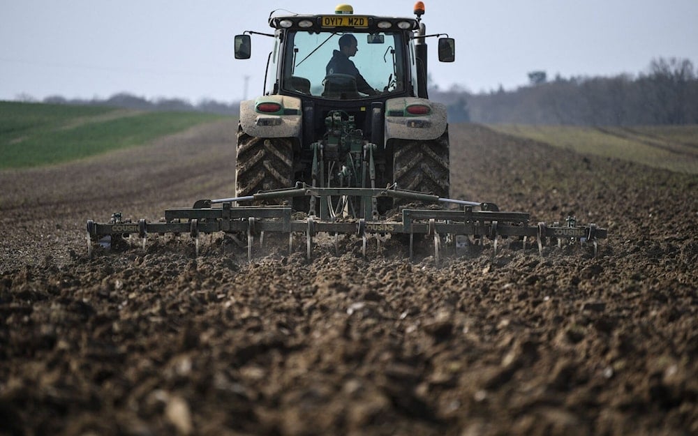 UK farmers count £800m losses after driest and hottest year