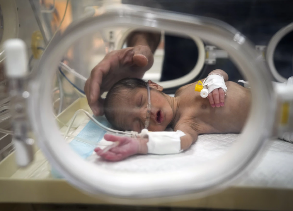 5 newborn babies freeze to death in Gaza amid harsh cold