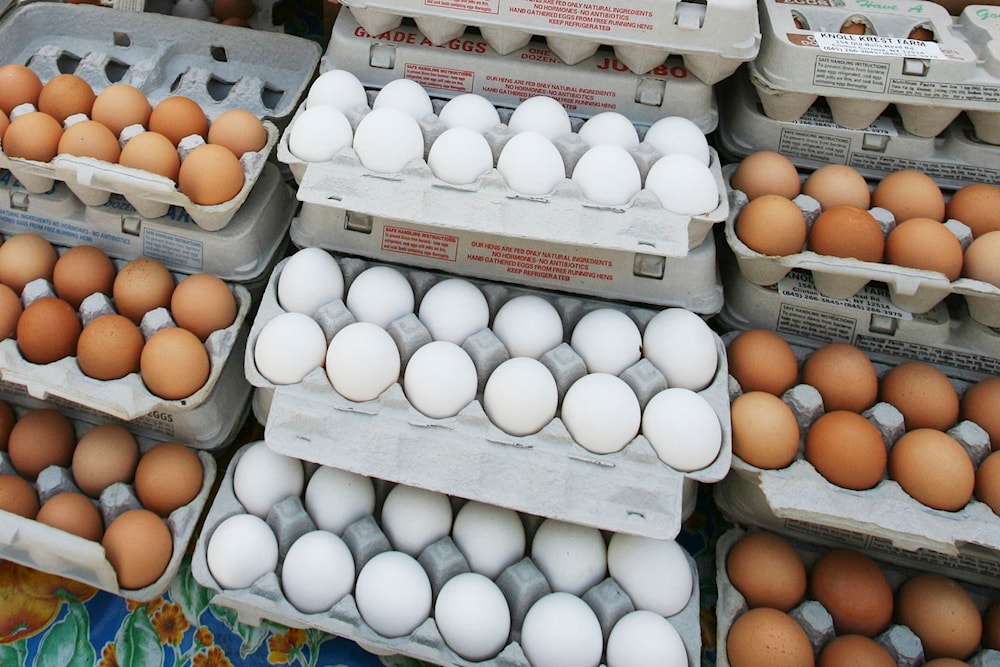 In this May 14, 2008 file photo, cartons of eggs are displayed for sale in the Union Square green market in New York. (AP)