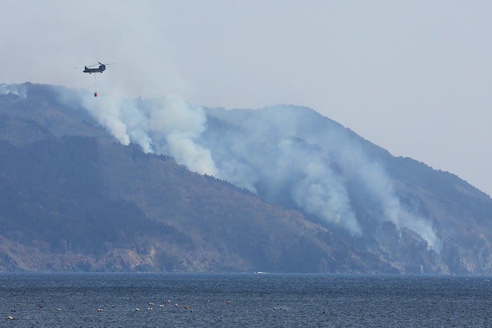 Japan wildfire