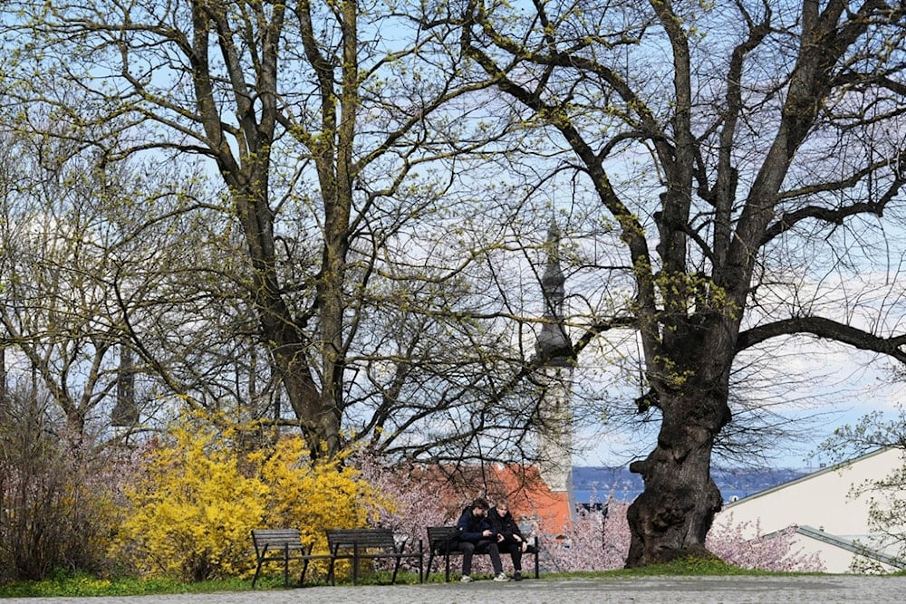People rest in the park in Tallinn, Estonia, Tuesday, April 29, 2025. (AP Photo/Sergey Grits)