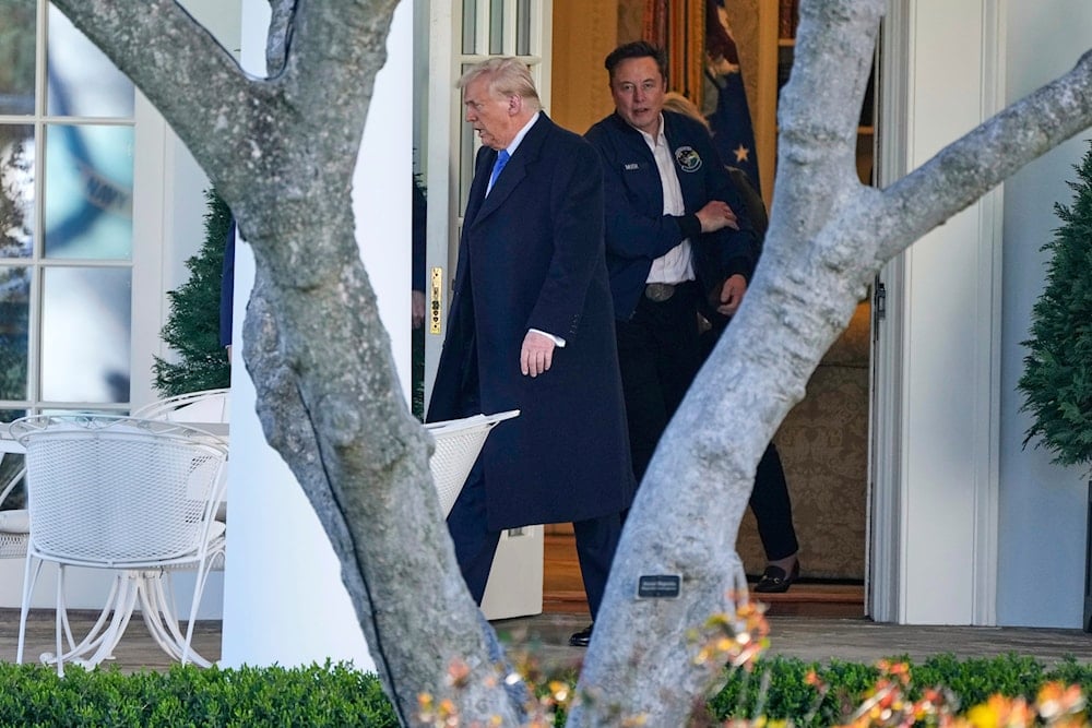 Trump praises Musk as chief disruptor eyes exit