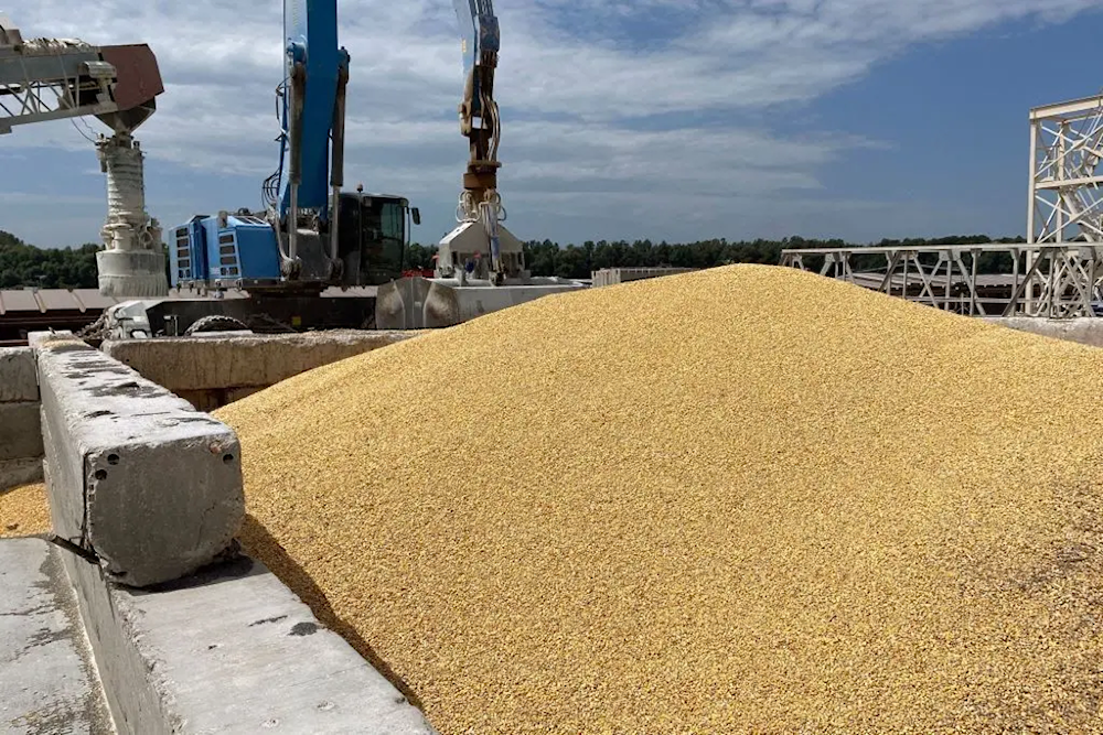 A pile of maize grains is seen on the pier at the Izmail Sea Port, Odesa Oblast, Ukraine on July 22, 2023. Illustrative purposes only. (Stringer/ AFP)